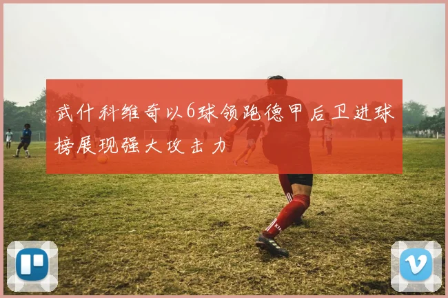 武什科维奇以6球领跑德甲后卫进球榜展现强大攻击力