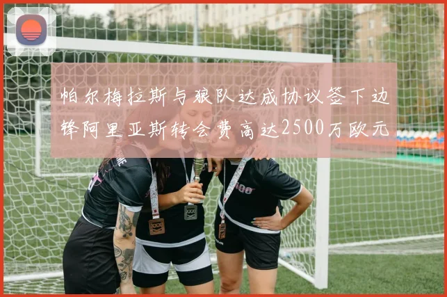帕尔梅拉斯与狼队达成协议签下边锋阿里亚斯转会费高达2500万欧元