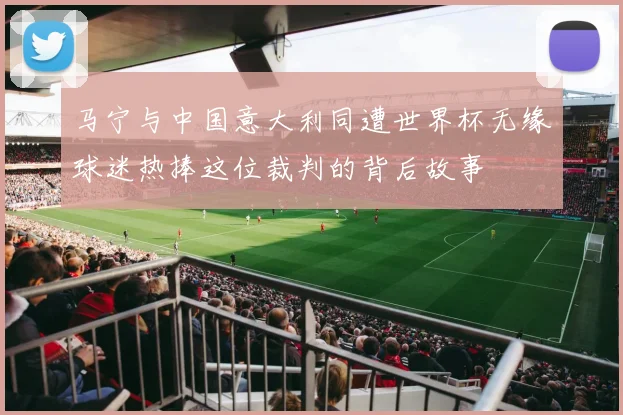 马宁与中国意大利同遭世界杯无缘球迷热捧这位裁判的背后故事